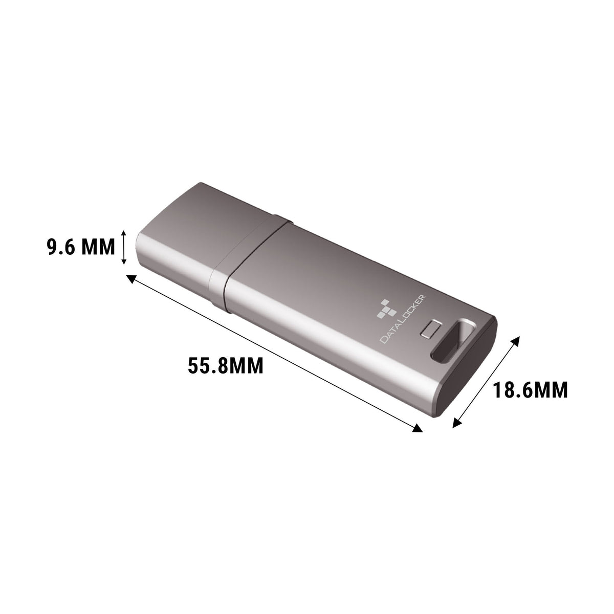Datalocker Dl Go 256bit - Flash-Memoria - Sin Clasificar Dlgo-004 - Flash-Memoria - Sin Clasificar