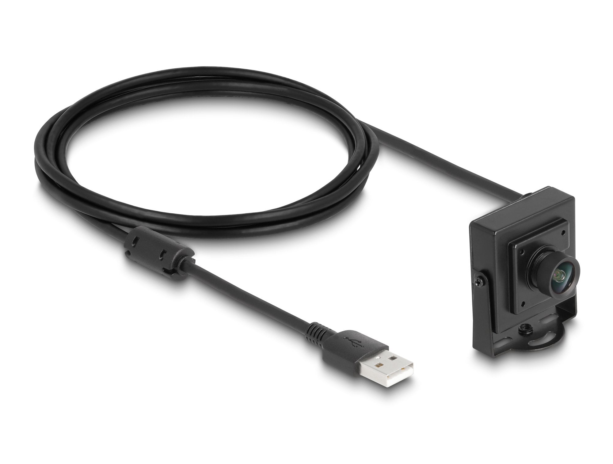 Delock Usb 2.0 Kamera 2.1 Megapixel 100° Fixfokus