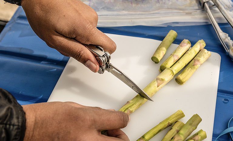 Alicates Leatherman Curl Multiherramienta 832932