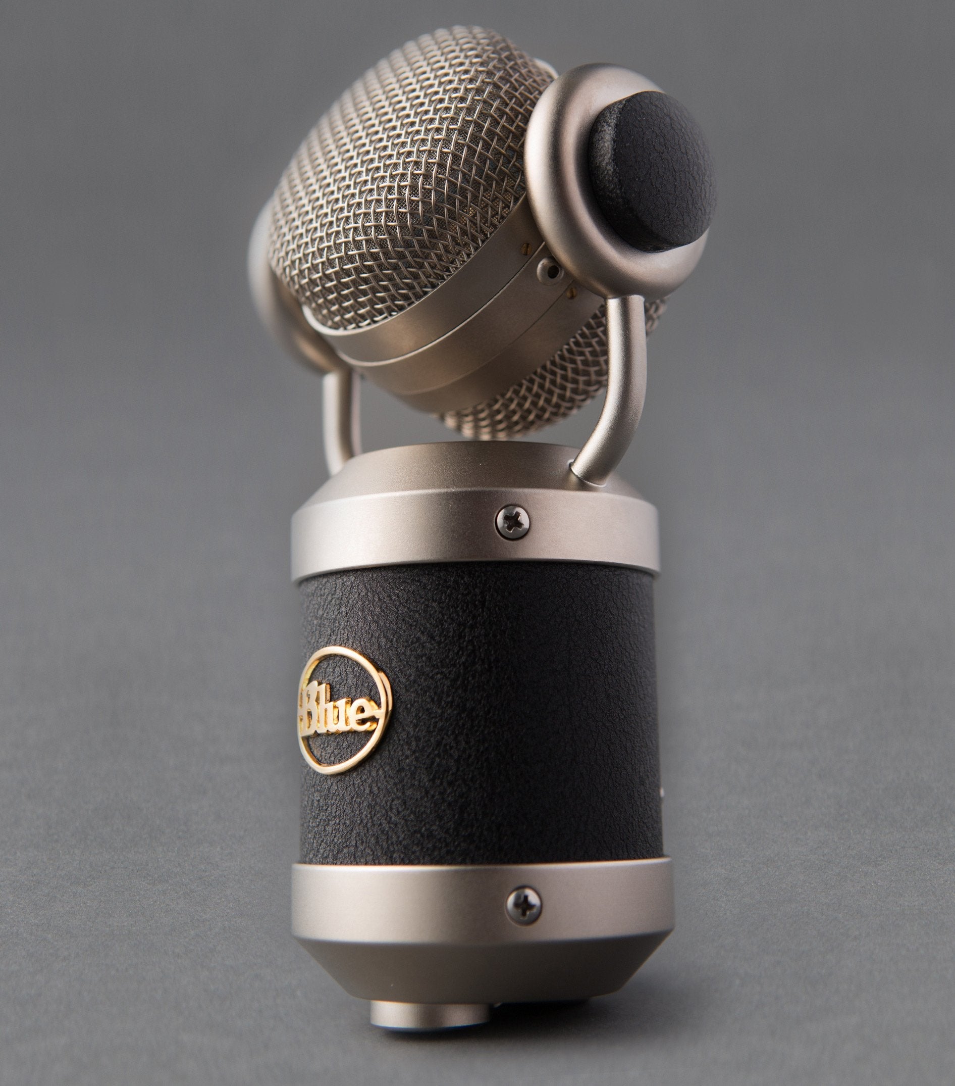 Micrófono Blue Microphones Mouse Negro De Estudio