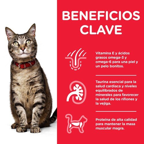 Comida Húmeda Para Gatos Hill'S Science Plan Adult With Chicken  85g