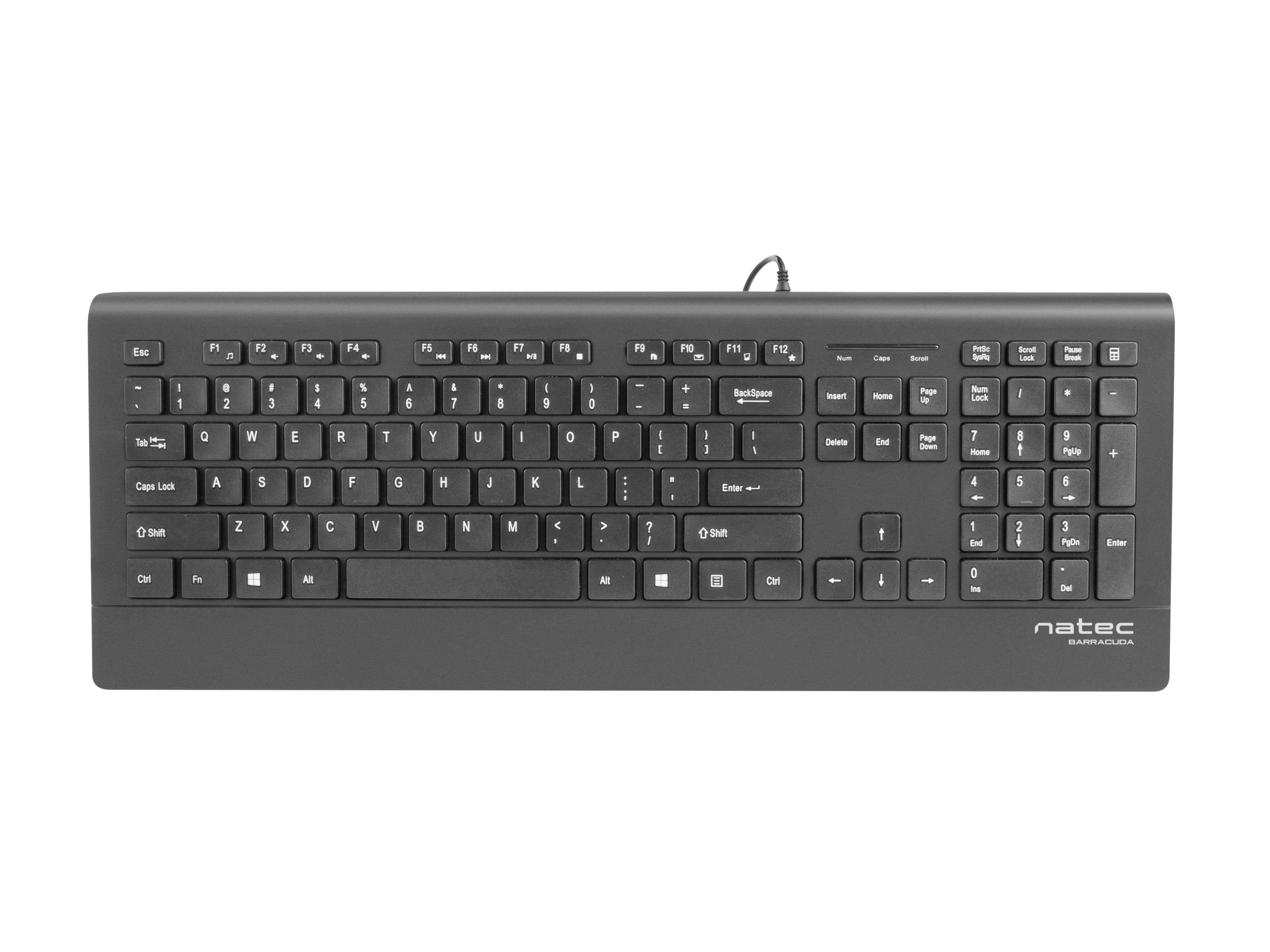 Teclado Natec Barracuda Slim Layout Español