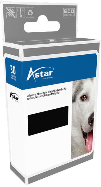 As44029 Astar Epson T2996 Xp Tinte (4)
