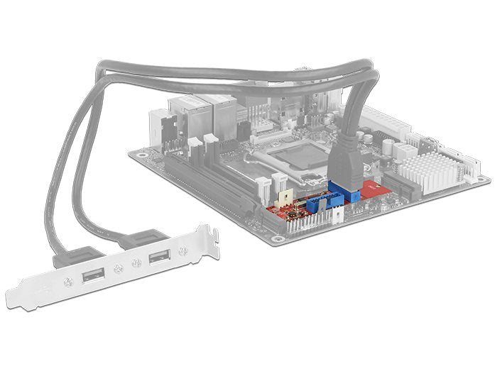 Conector B+M De La Tecla Delock M.2> 2 X Usb 3.0 Post Enchufes, Convertidor 62843