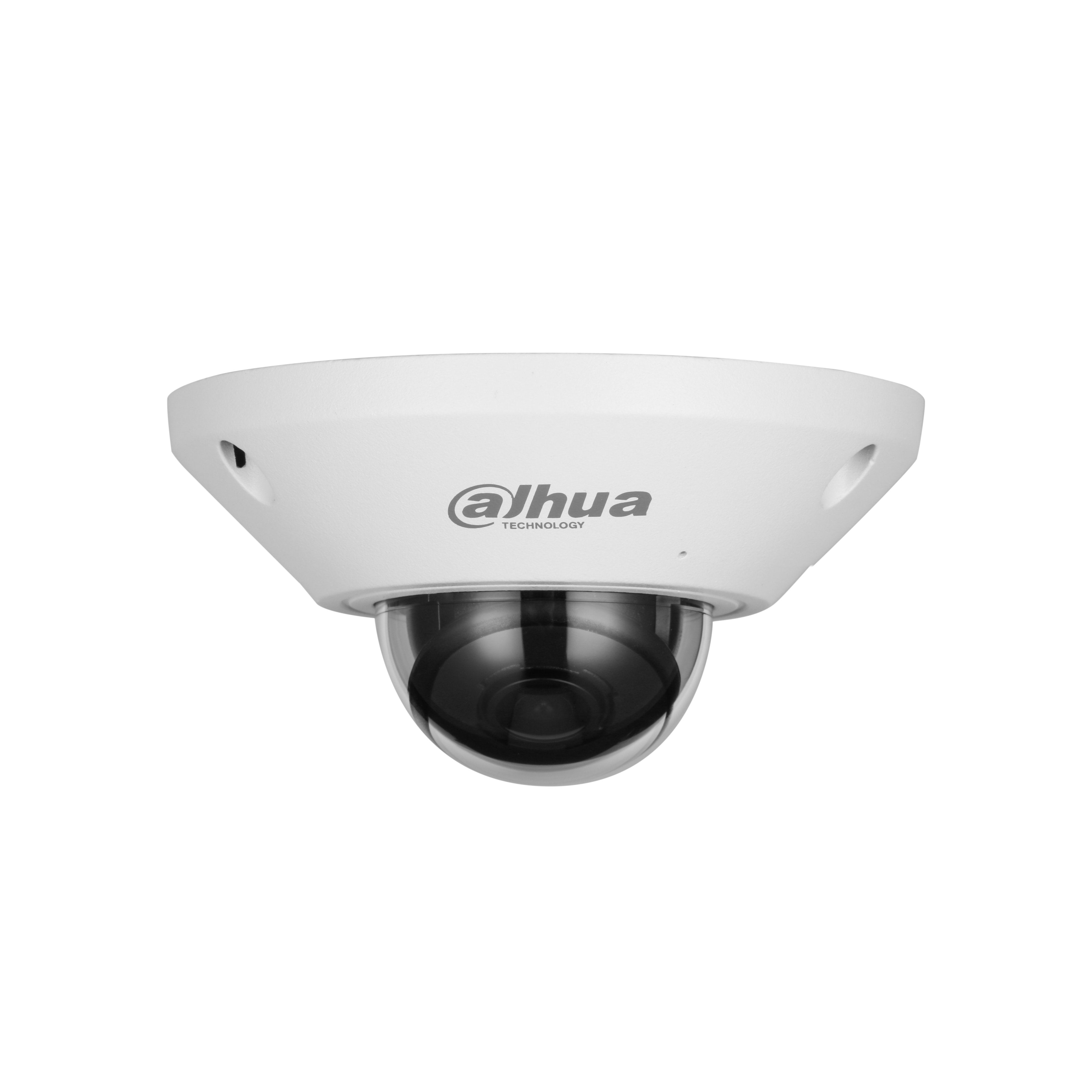 Dahua Ipc-Eb5541-As Fisheye H265 5m Dn Wdr 1.4mm Ik10 Ip67 Audio Sd Poe Mic E/S Ai