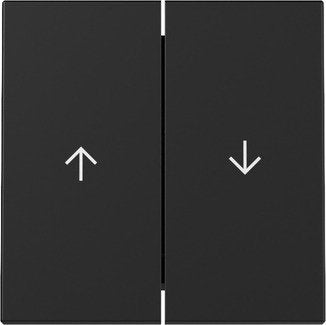 Gira 3294005 Placa De Pared Y Cubierta De Interruptor Negro