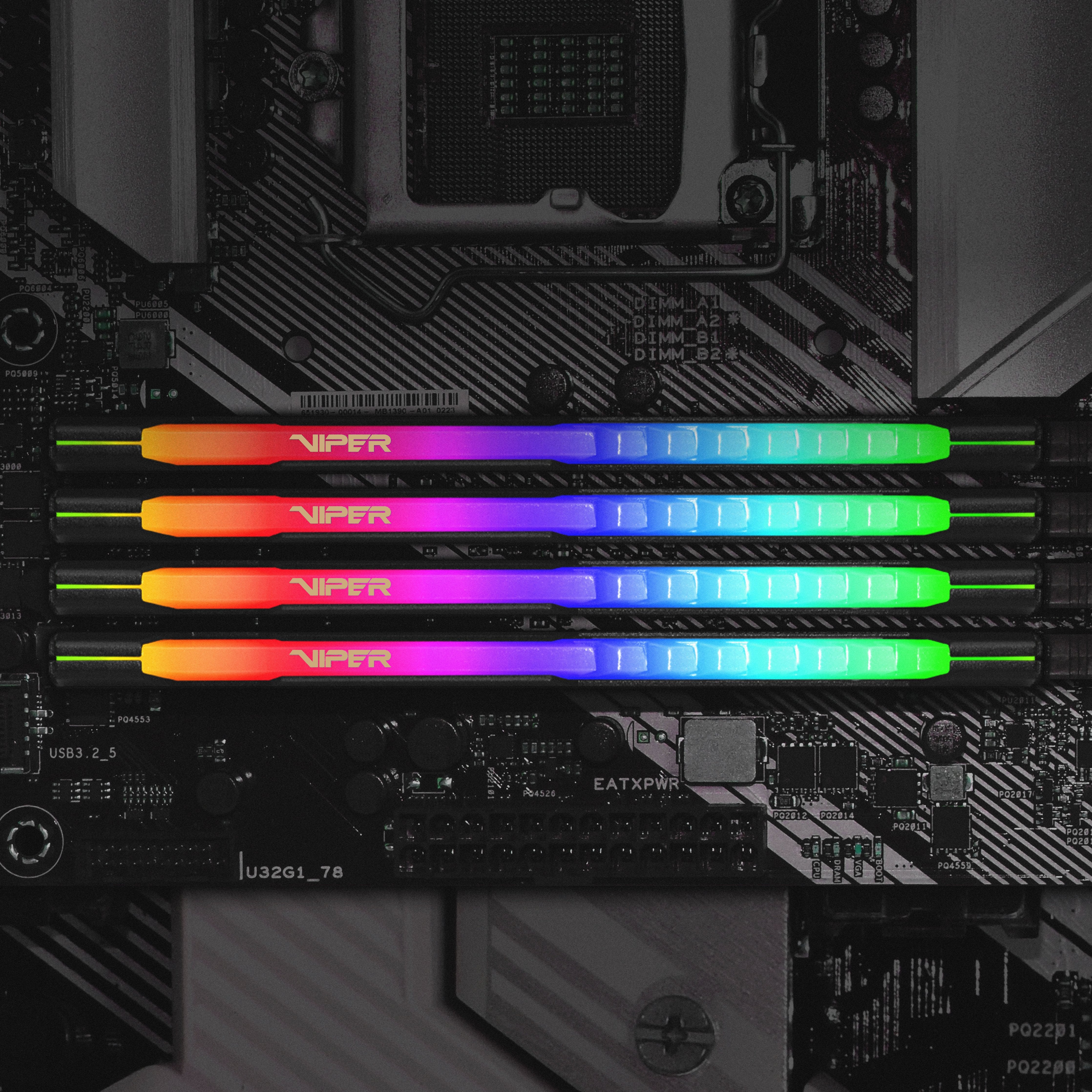 EAN 0814914029848 - Patriot Memory Viper Steel RGB PVSR416G360C8K módulo de memoria 16 GB 2 x 8 GB DDR4 288-pin DIMM imagen 13