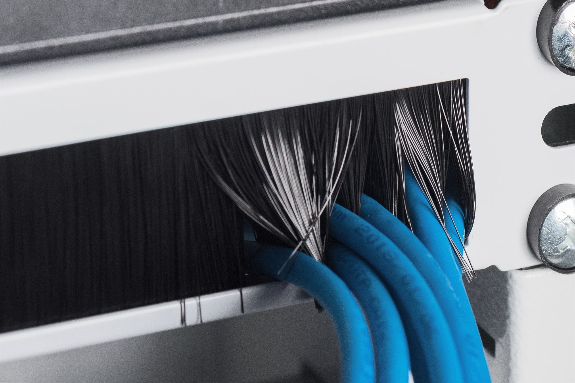 Digitus Dn-97660 Accesorio De Bastidor Panel Ciego
