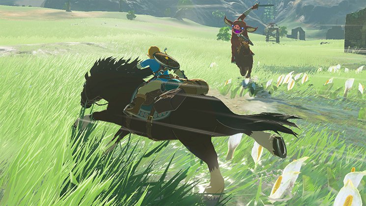 The Legend Of Zelda: Breath Of The Wild (Ns)