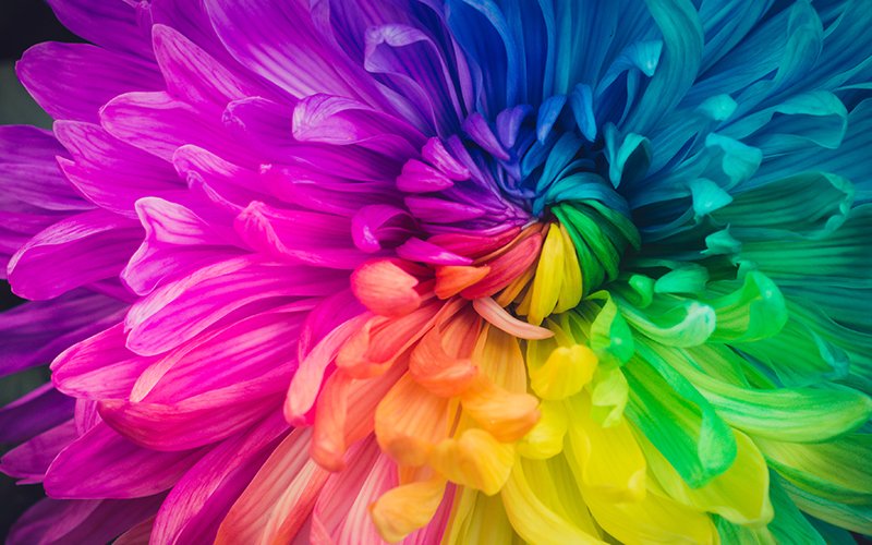 Proyector Epson Multimedia Ef-11  Láser 3lcd Compacto