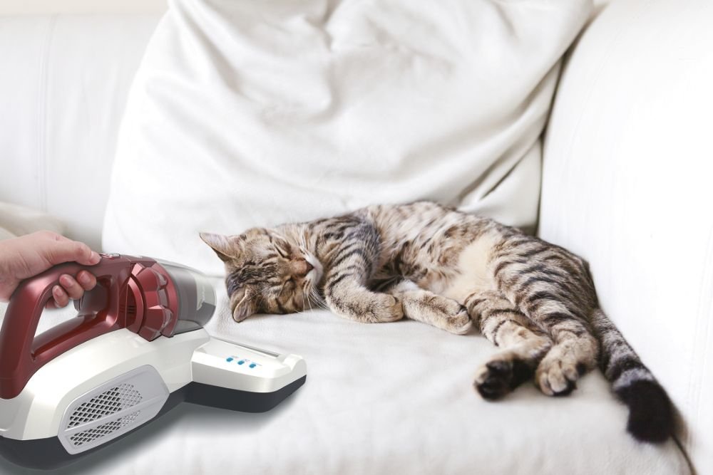 EAN 8016361898103 - Hoover Ultra Vortex MBC500UV 011 aspiradora de mano Rojo Sin bolsa imagen 20