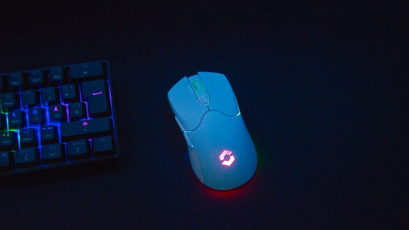 Speedlink Sl-680102-Wt Ratón Juego Mano Derecha Rf Wireless + Usb Type-A Óptico 4800 Dpi