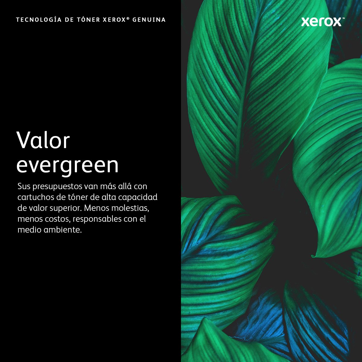 Xerox Versalink C7000 Tóner Amarillo Capacidad Extra (10100 Páginas)