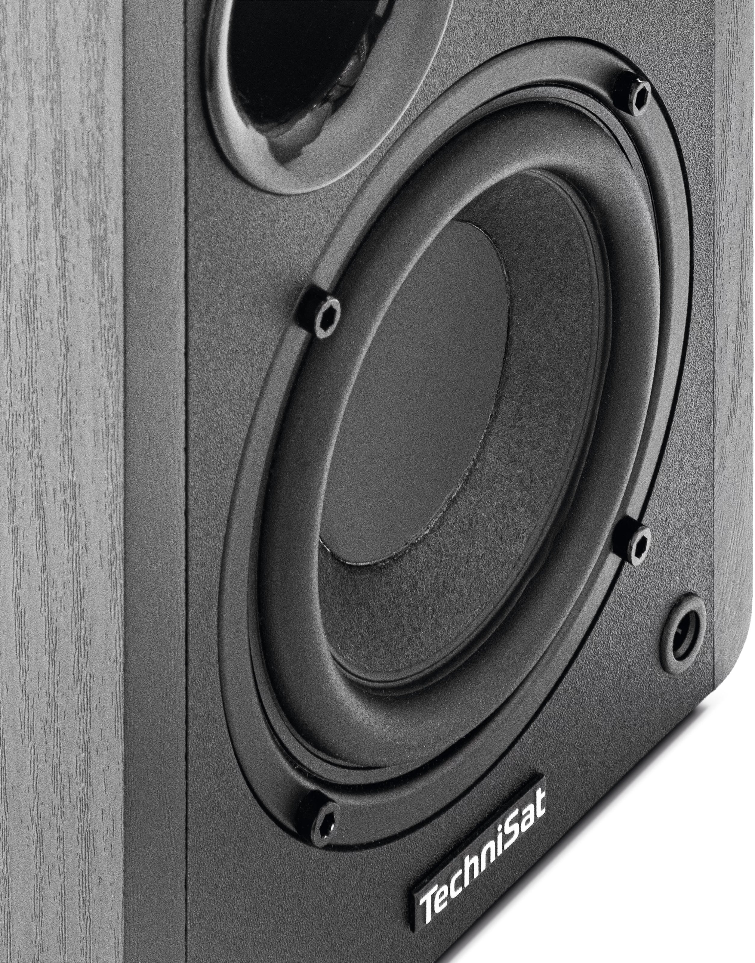 Technisat Audiomaster Rls 1