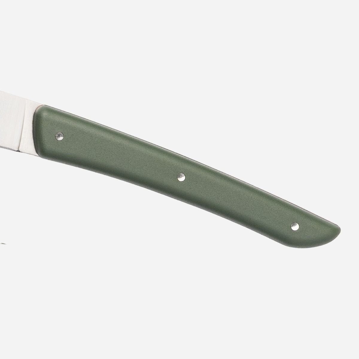 Juego De Cuchillos Para Carne Berkel 4 Uds. Color Verde