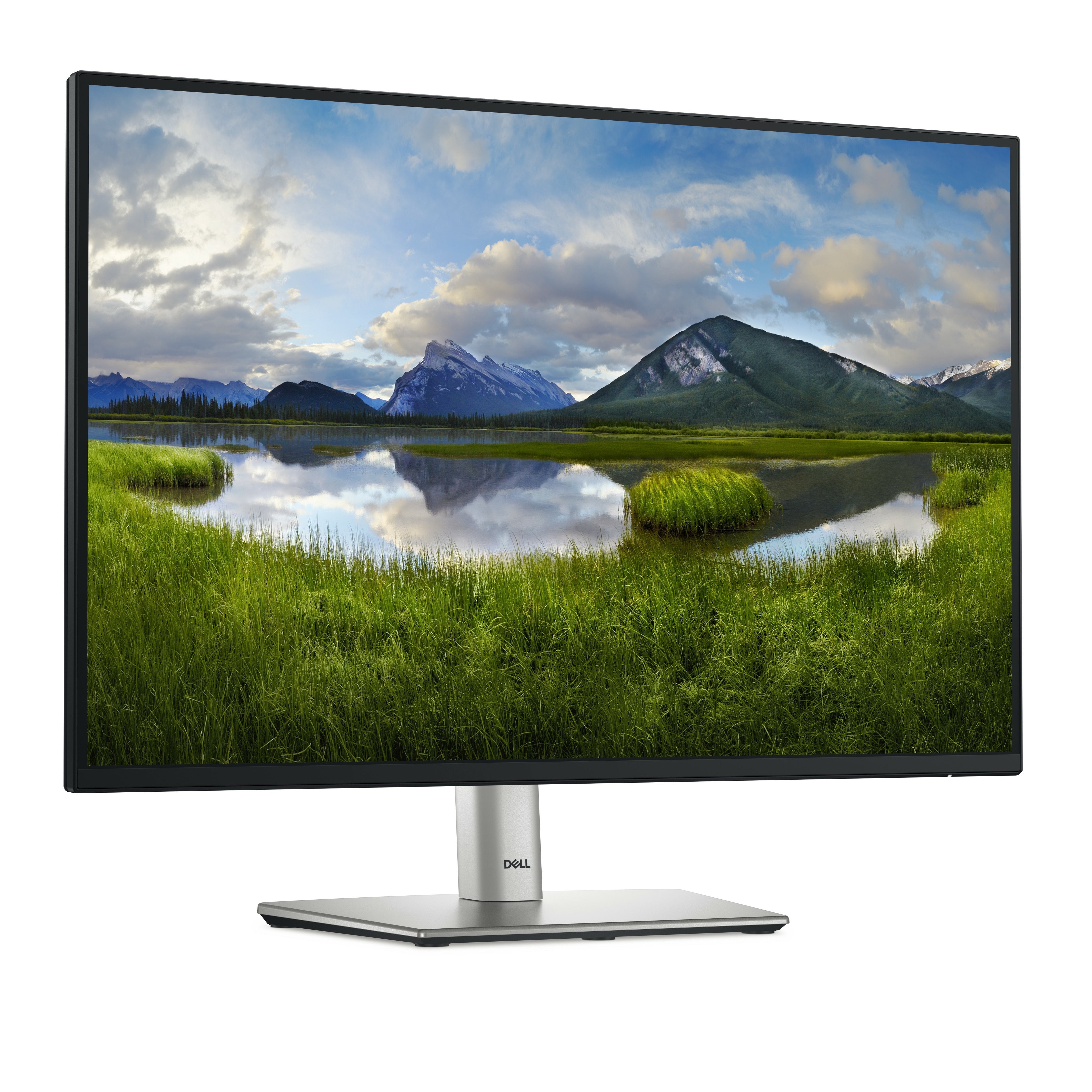 Dell Lcd P2425e 24" Ips Wuxga 1920x1200 Dp,Hdmi,Usb-C,Usb, Rj45 Black