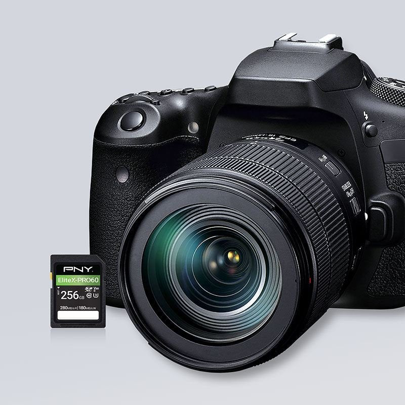 EAN 751492666129 - PNY EliteX-PRO60 256 GB SDXC UHS-II Clase 10 imagen 3