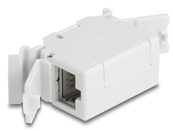 Delock Rj45 Kupplung Cat.6a Hembra A Hembra Con Staubschutzklappe