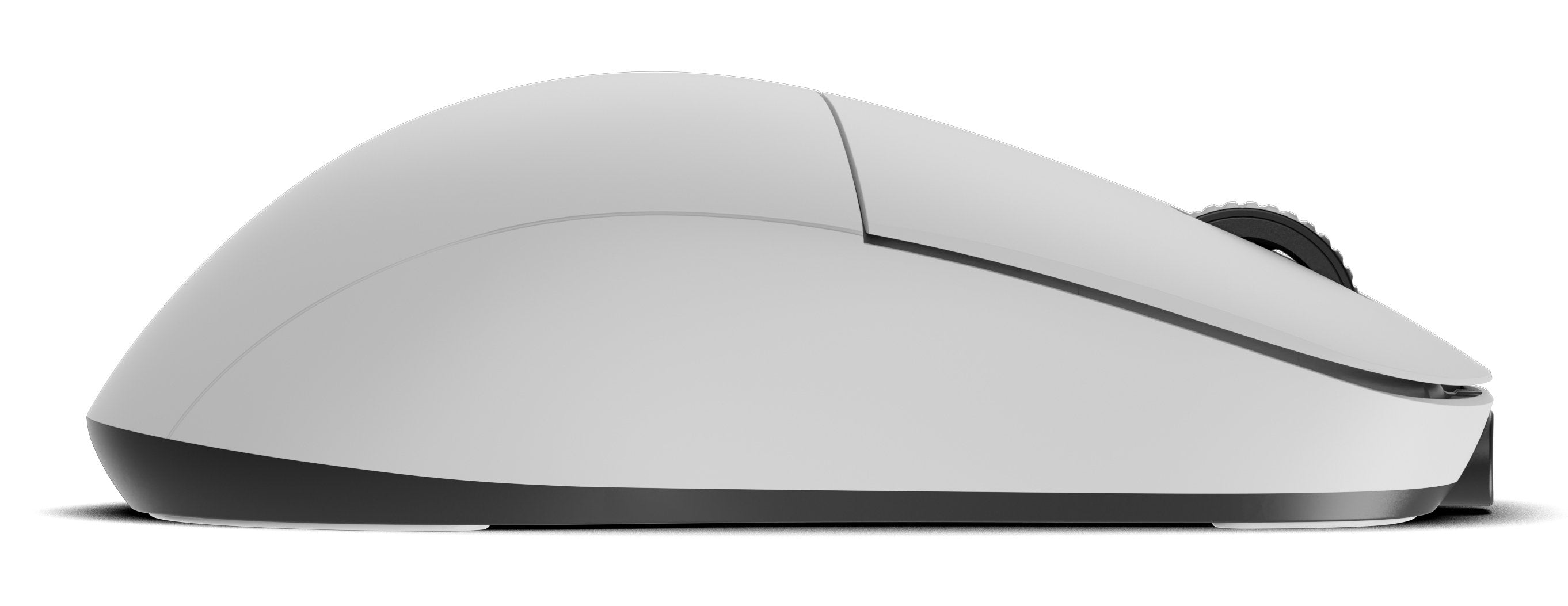 Endgame Gear Xm2w 4k V2 Gaming Mouse - Blanco