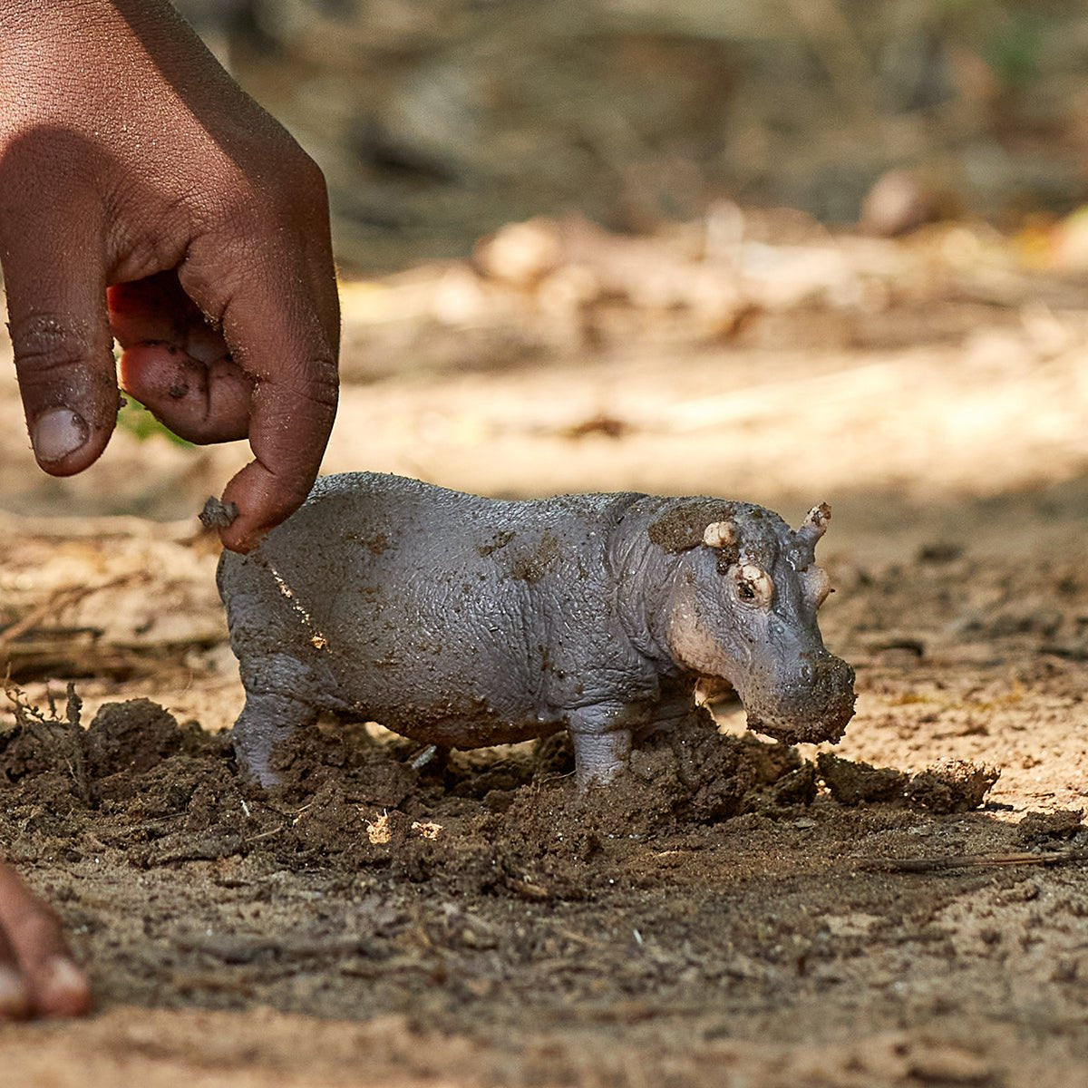 Schleich Vida Salvaje 14814 Figura De Juguete Para Niños