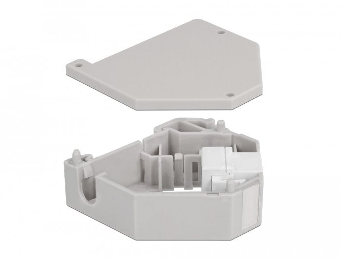 Delock Hutschienenadapter Mit Keystone Usb 2.0 Typ-A Buchse Zu Usb 2.0 Typ-A Buchse