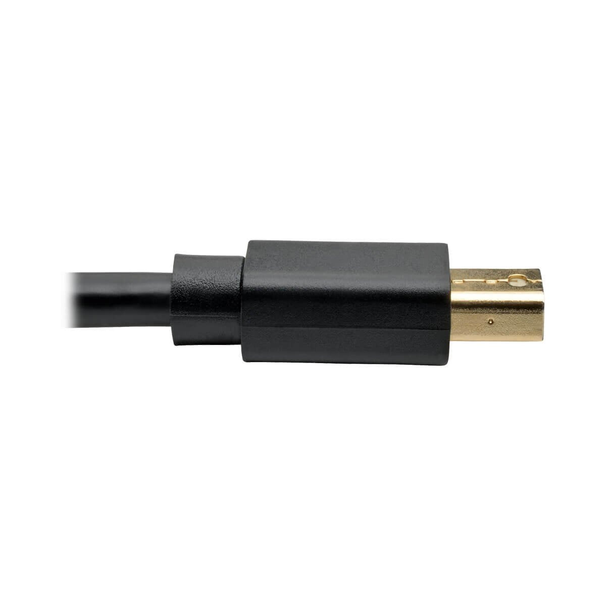Tripp Lite P583-006-Bk Adaptador De Cable Mini Displayport A Displayport 4k A 60 Hz [M/M], Negro, 1.83 M [6 Pies]