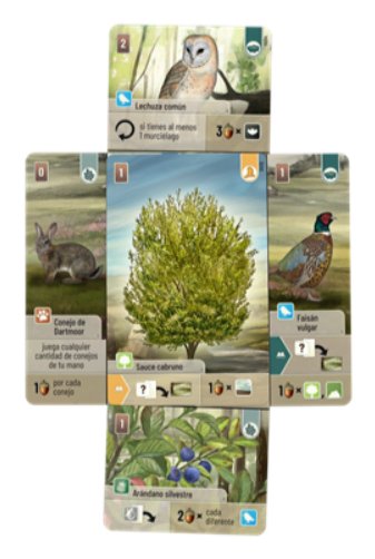 EAN 3558380135173 - Asmodee LOG0156ES juego de tablero Forest Shuffle Dartmoor 60 min Juego de mesa Estrategia imagen 3