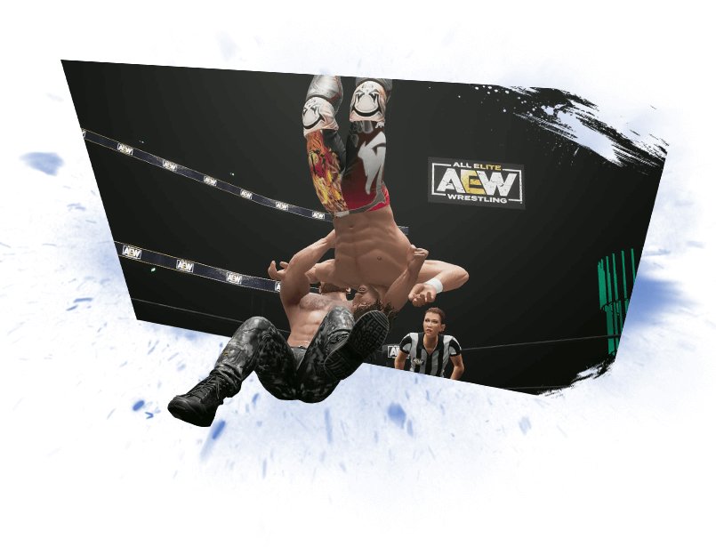 All Elite Wrestling Fight Forever
