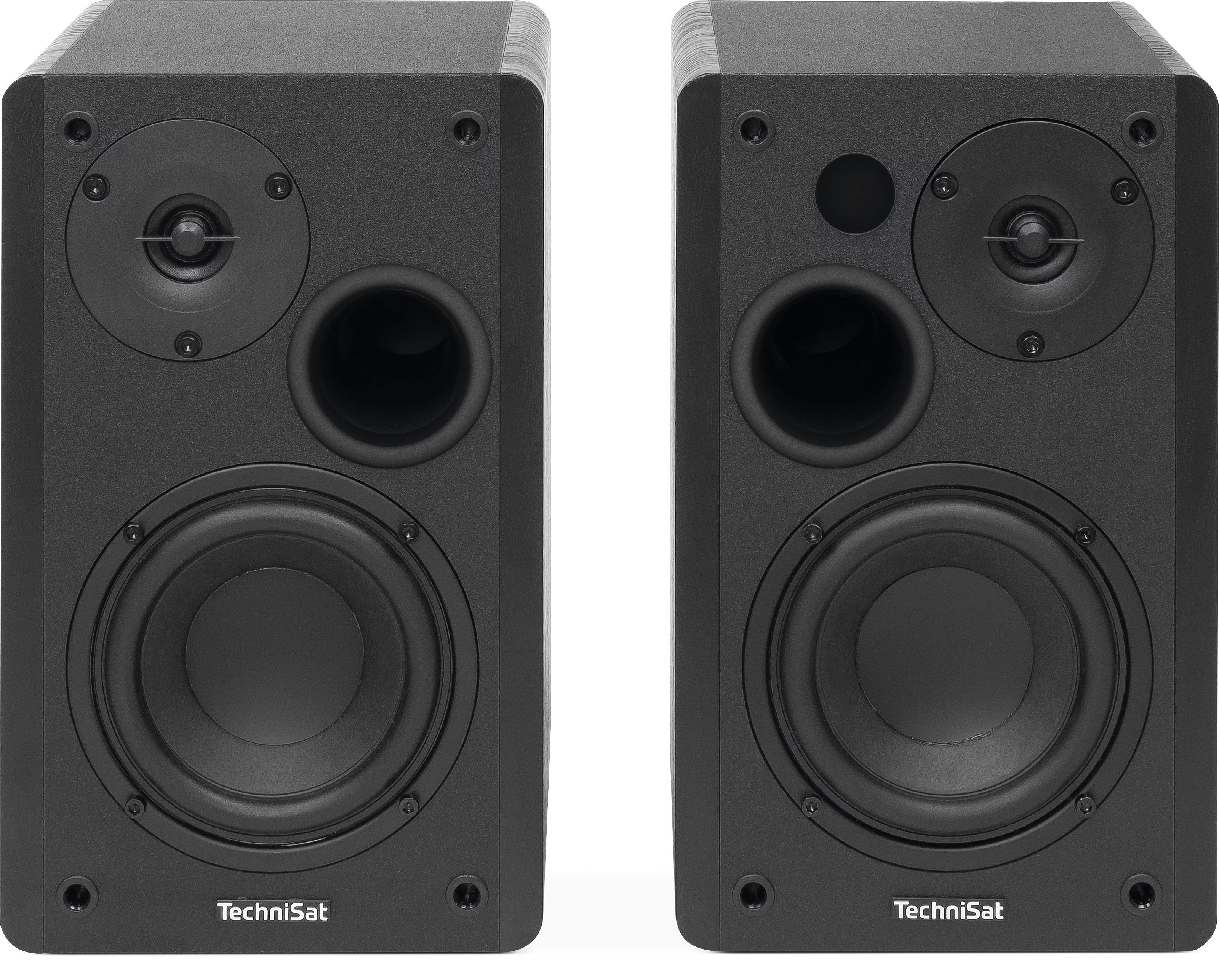 Technisat Audiomaster Rls 1