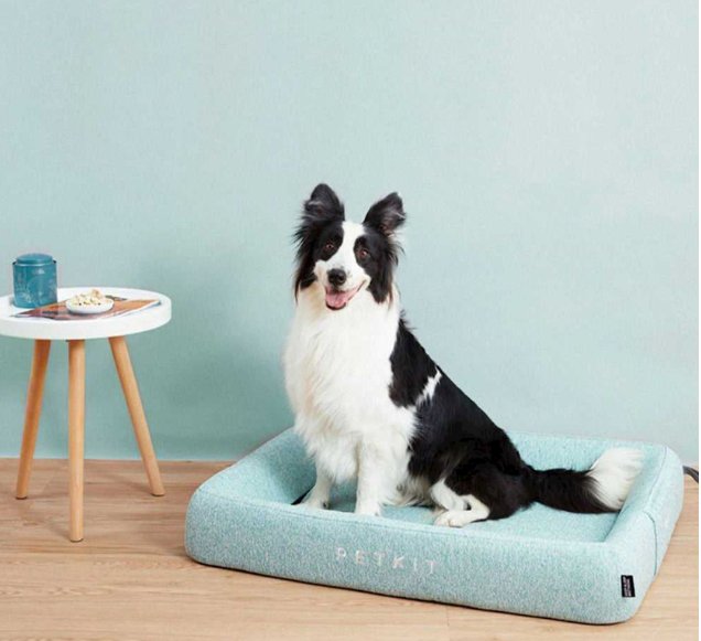 EAN 6931580106056 - PETKIT Four - L Cama para mascotas imagen 4