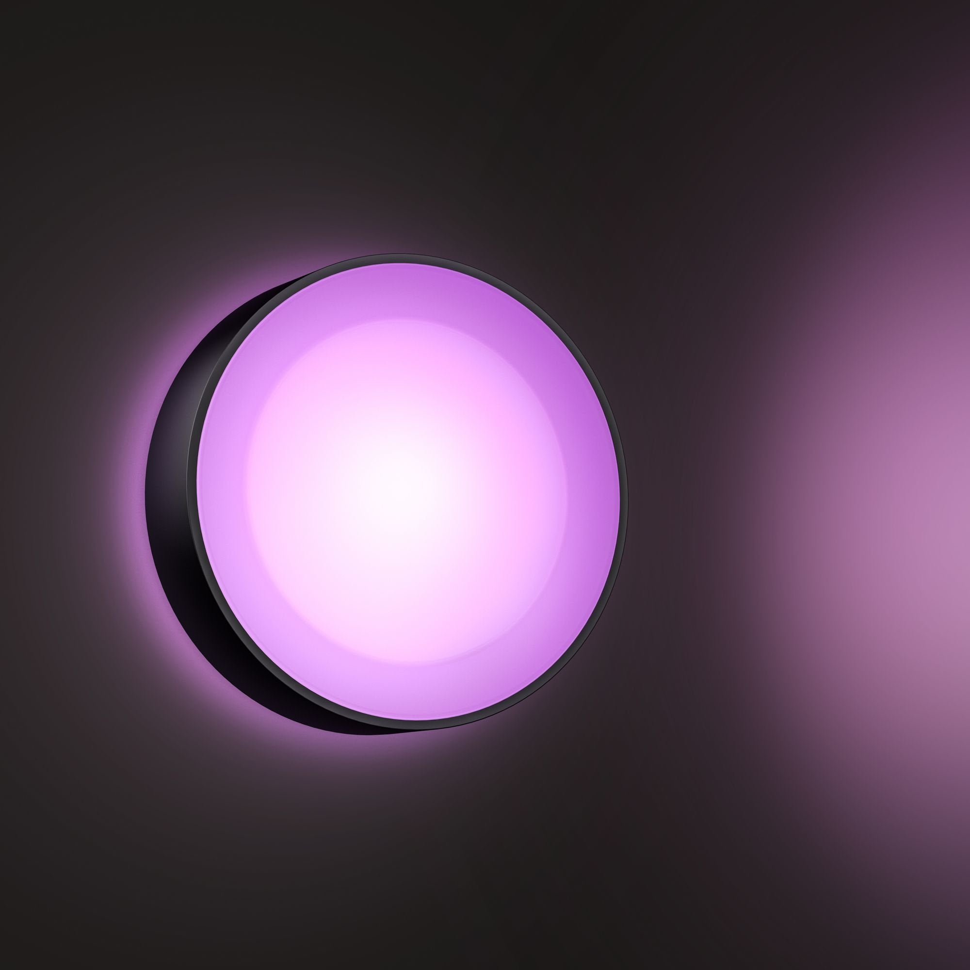 Philips Hue White And Color Ambiance Aplique Mural Para Exteriores Daylo