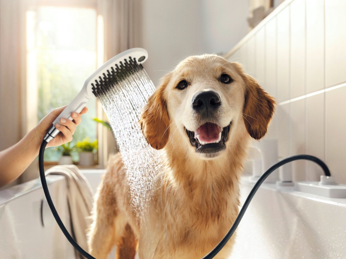 EAN 4059625301920 - Hansgrohe DogShower Ducha de mano Blanco imagen 2