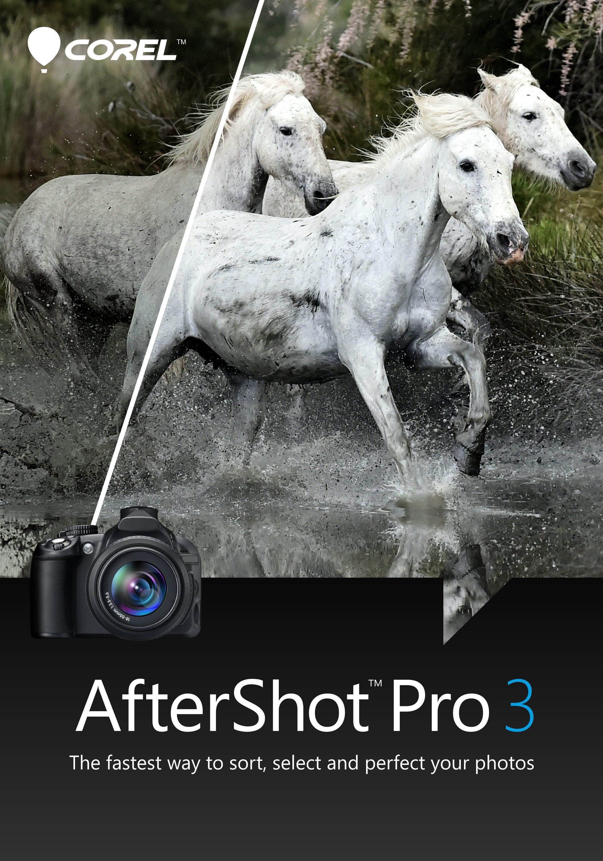 Corel Aftershot Pro 3 (1 Dispositivo - Licencia Perpetua) Esd - Licencia Electrónica