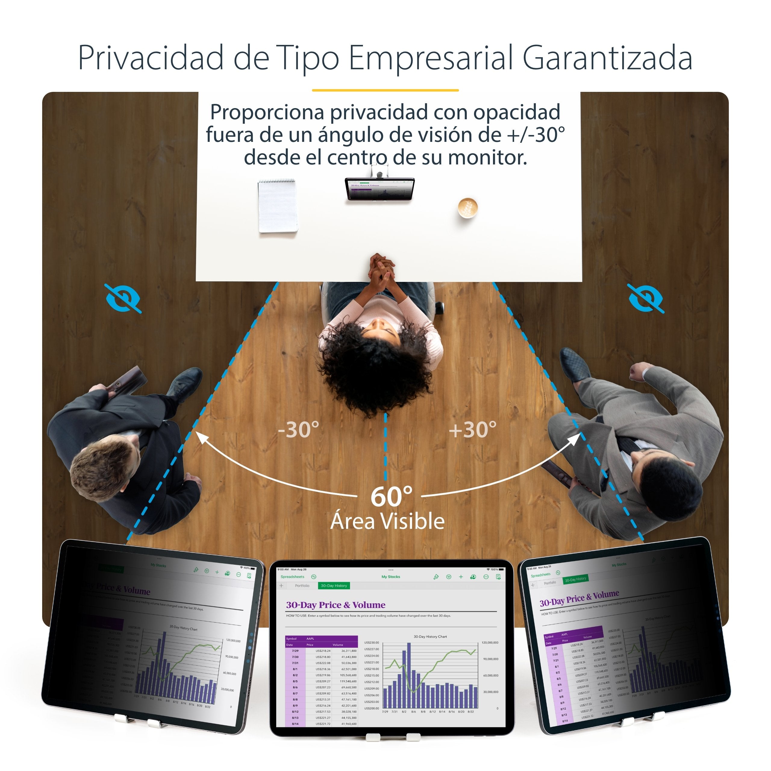 Startech.Com Protector De Pantalla Para Tableta For Portrait/Landscape Touch-Enabled +/-30° View Blocks Up To 51% Blue Light Matte Con Filtro De Privacidad 4 Vías 12.9" Negro Para Apple Ipad Pro De 12 9" (3ª Generación 4ª Generación 5ª