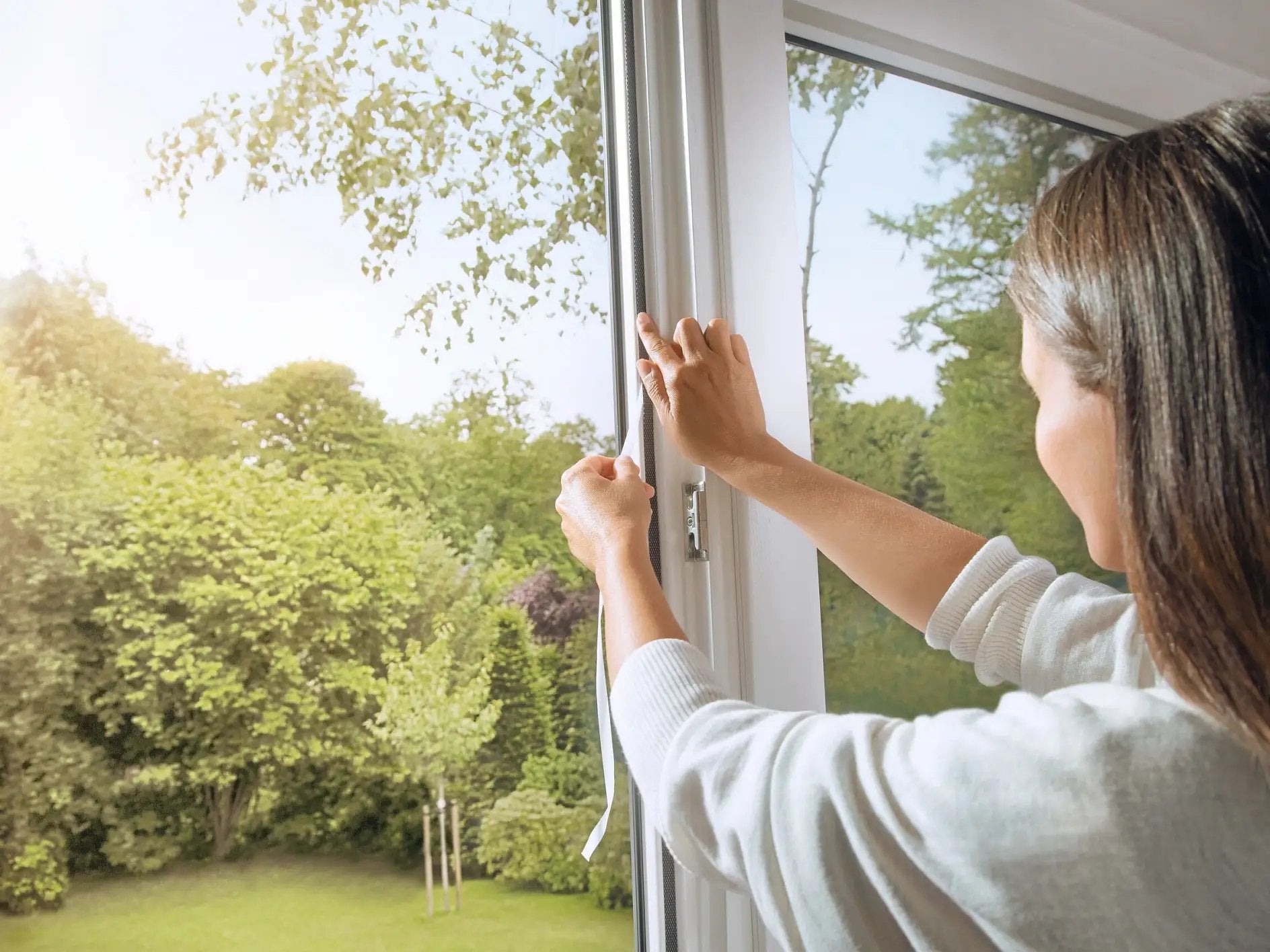 Tesa 55297-00000-00 Mosquitera De Ventana Pantalla De Malla Poliéster
