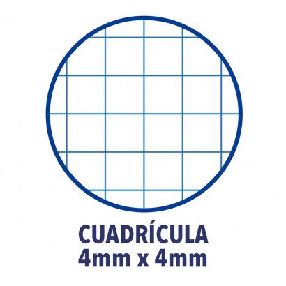 Oxford Recambio 100+20 Hojas Sueltas Microperforadas 4x4 Con Margen A4