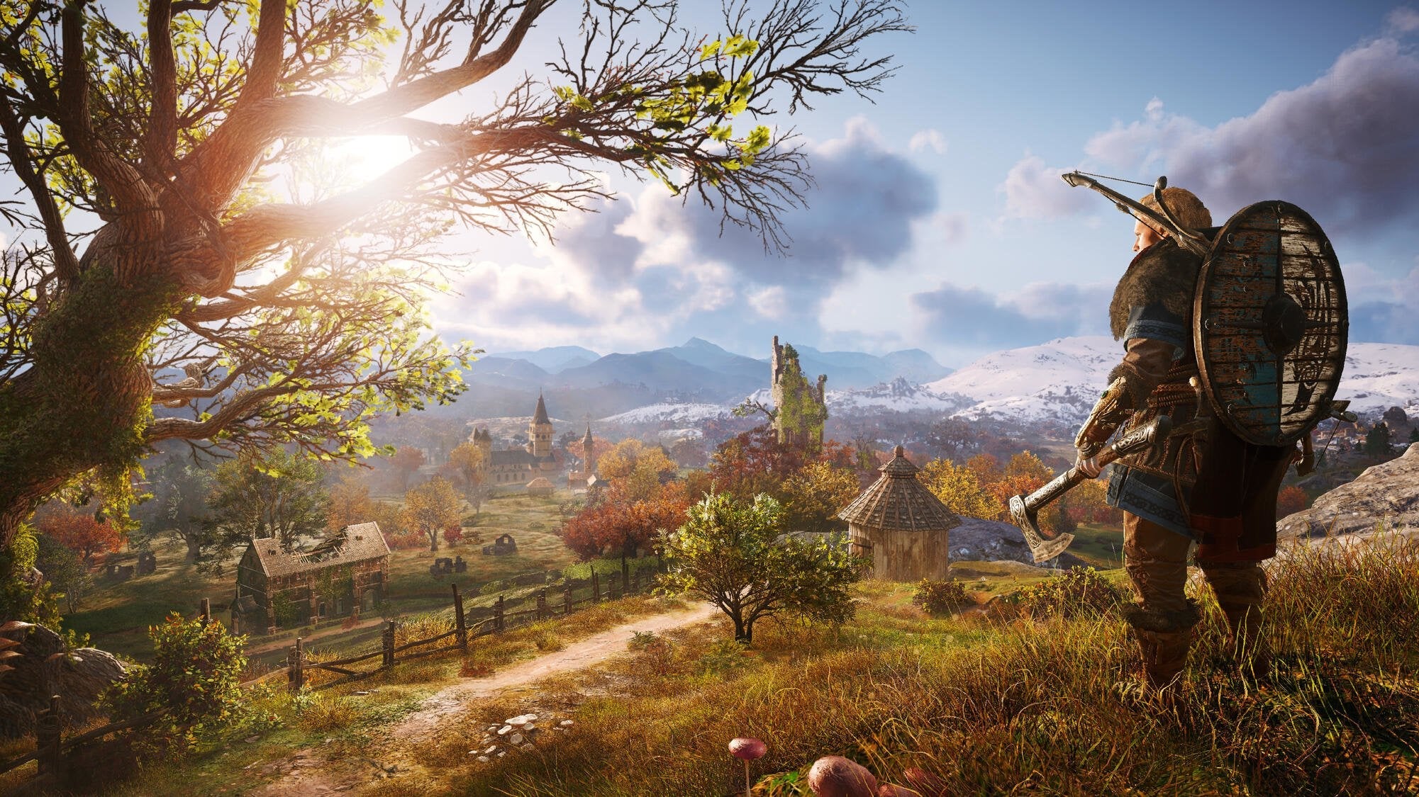 Juego Sony Ps4 Assasin S Creed Valhalla  Asscv