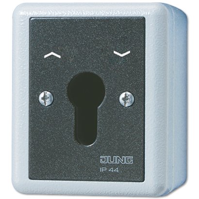 Jung 834.28 G Ap Wd-Schlüsselschalter 2p Wende