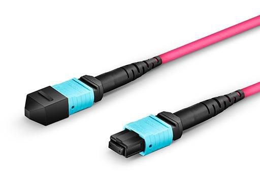 Fiber Patch Cable - 12 Cores  Mtp/Upc-Mtp/Upc Female To