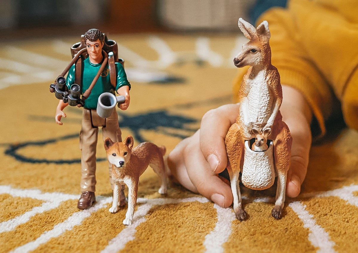 Figura Schleich Wild Life Outback Adventure 42550