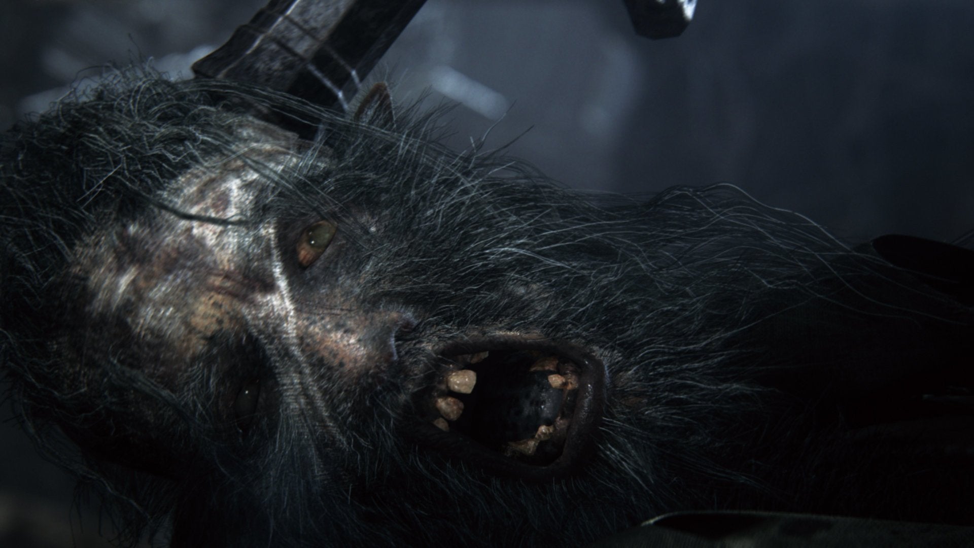 Ps4 Bloodborne - Ps Hits