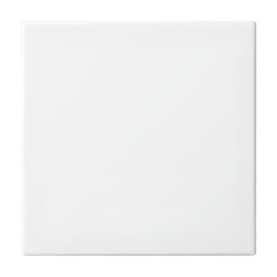 Busch Jaeger 2546-914 Tecla Basculante, Blanco Alpino, Busch-Balance Si, Cubiertas Para Interruptor Pulsador