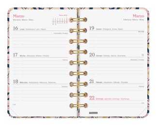 EAN 8422952405498 - Finocam 760102826 agenda Agenda semanal Multicolor imagen 5