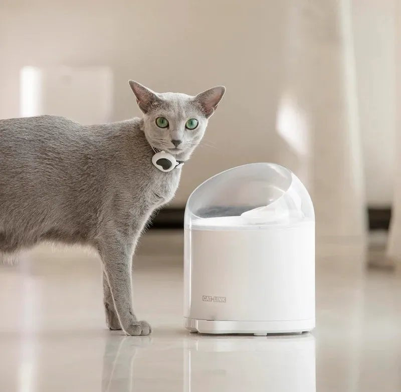 EAN 6972884751085 - CATLINK PURE 2 comedero y bebedero para perro y gato Acrilonitrilo butadieno estireno (ABS) Blanco Univer imagen 5