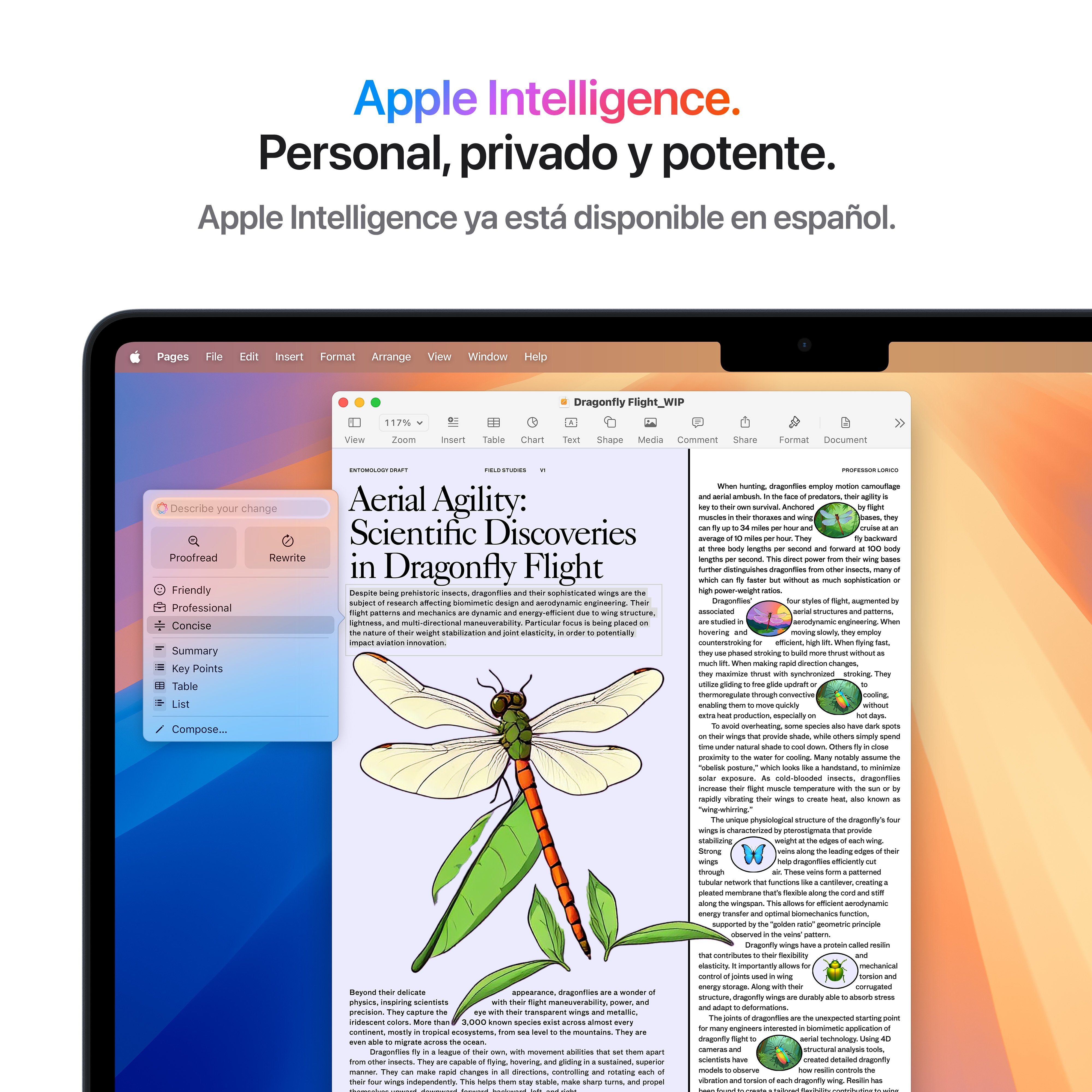 EAN 0195949890444 - Apple MacBook Air Apple M M4 Portátil 34,5 cm (13.6") 16 GB 256 GB SSD Wi-Fi 6E (802.11ax) macOS Sequoia  imagen 6
