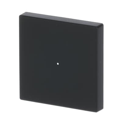 Busch Jaeger Bj 6230-10-885 Wippe 1f Schwarz Matt Busch-Free@Home Future Linear