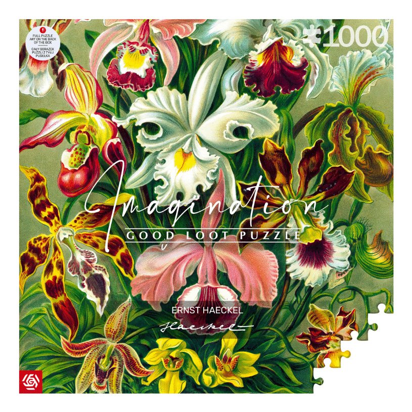 Puzzle Good Loot 1000 Imagination Ernst Haeckel Orchidea / Orchid