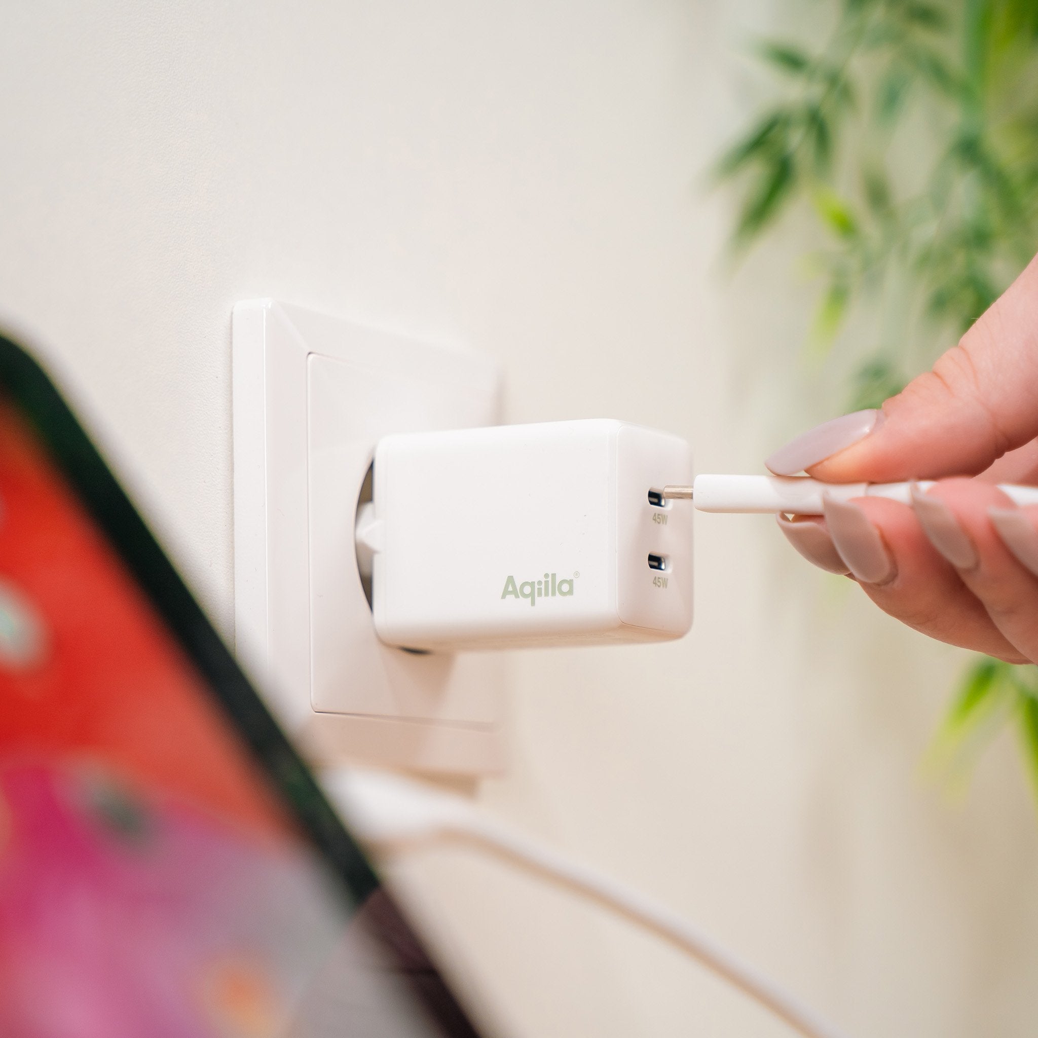 Aqiila Chargebird W2 45w 2x Usb-C