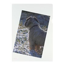 Carpeta Herlitz A4 Transparente 100 Piezas
