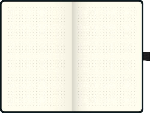 Brunnen Cuaderno Ca. Din A5 Punktraster, 192, Davon 16 Para Heraustrennen Páginas